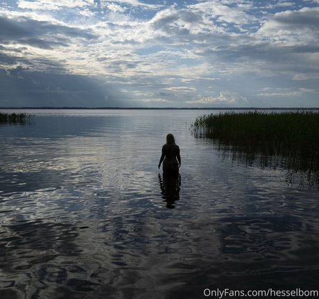 hesselbom high quality model images