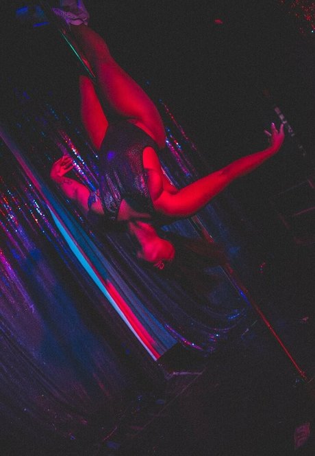 averyjane pornstar free archive