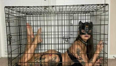 asiapolerina best star pics