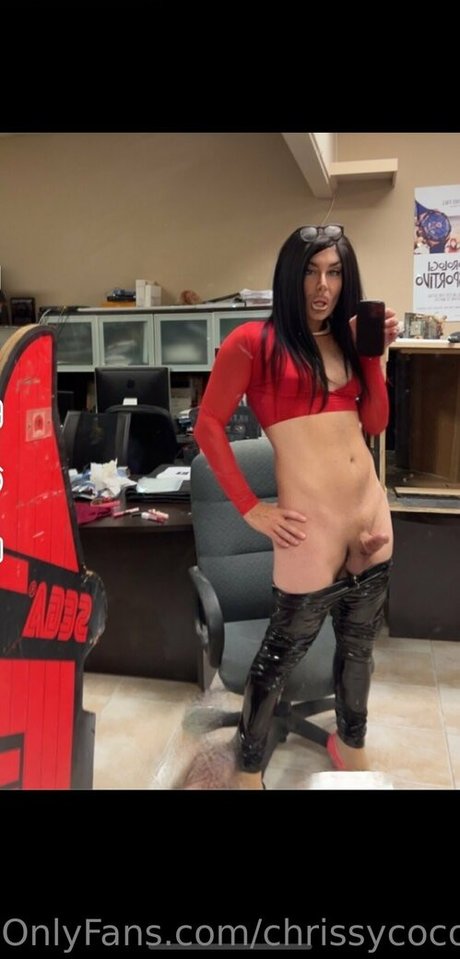 chrissycocoa adult star images