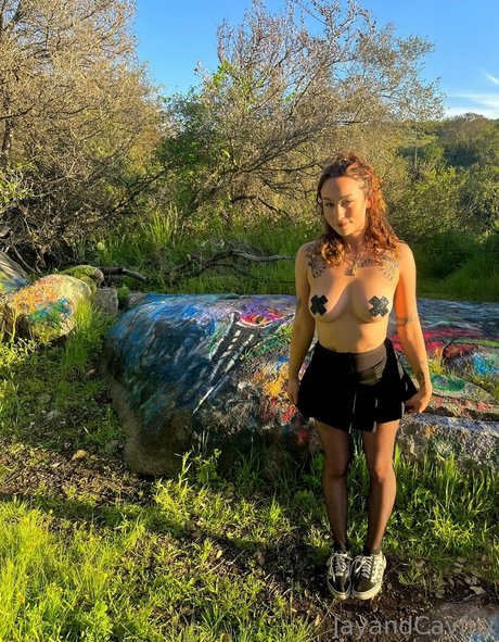 jayandcayfux star art image