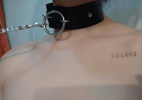 CherryShakeMin pornstar high quality pics