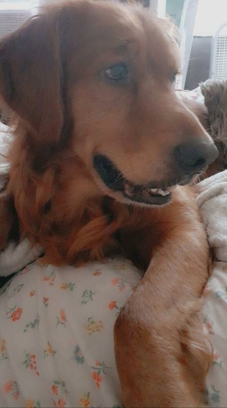 bigbootyisabella pornographic star gallery