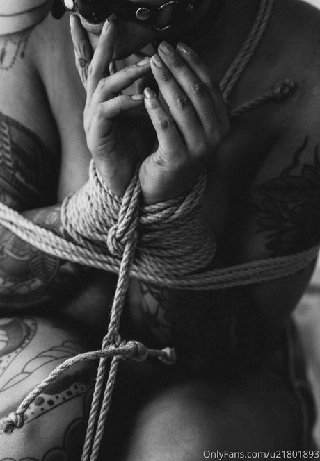 lunalynn26 star adult archive