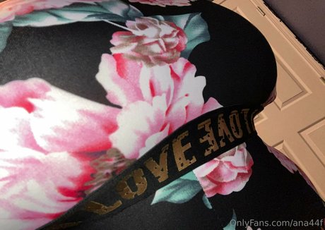 ana44f xxx pornstar galleries