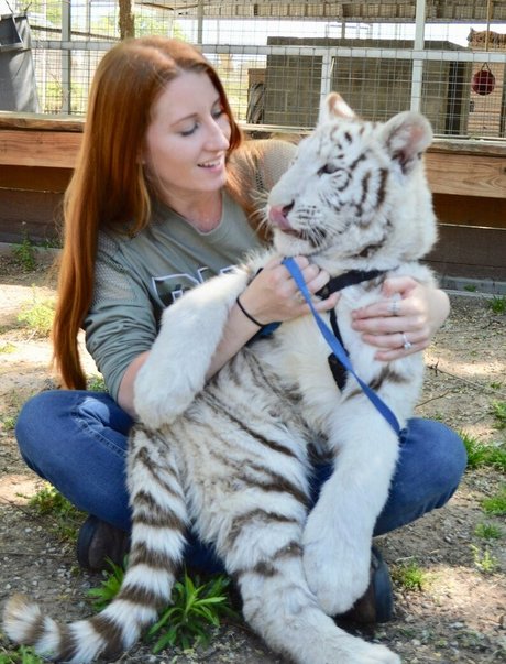 tigerqueen_ star perfect galleries