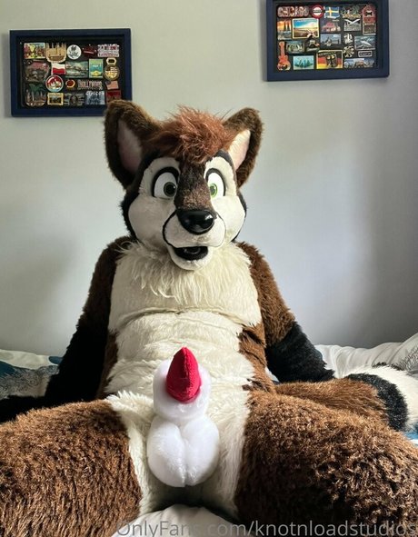 knotnloadstudios sex pornstar galleries