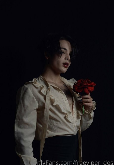 freeviper des pornstar pic