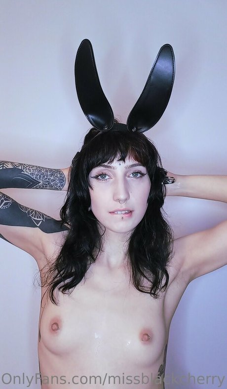 missblackcherry beautiful star archive