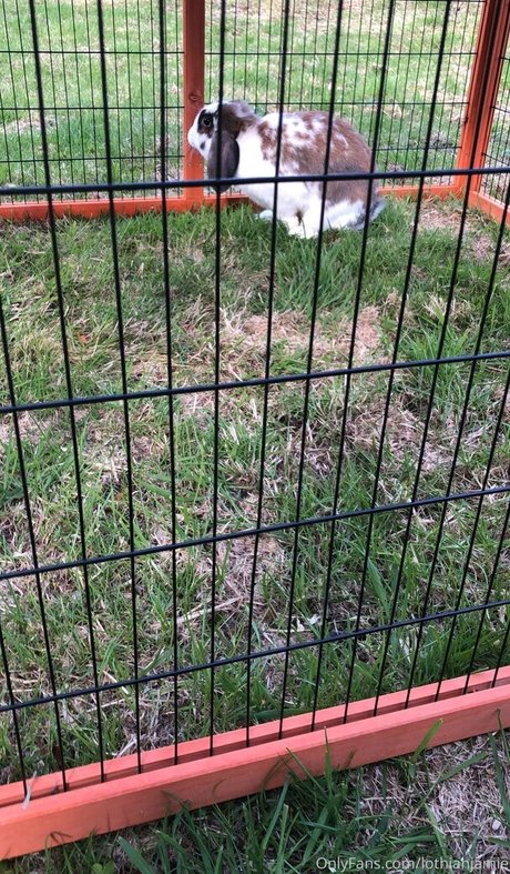 naked twink onlyfans hot xxx image