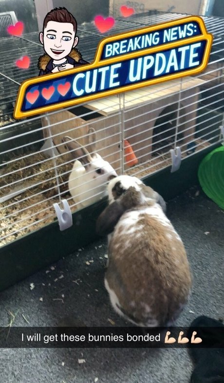 lothianjamie model nude images