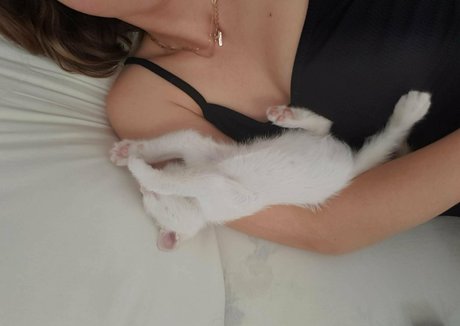 peqqq pornstar sex archive