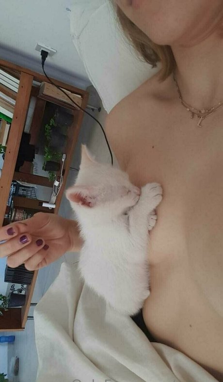 peqqq free star image