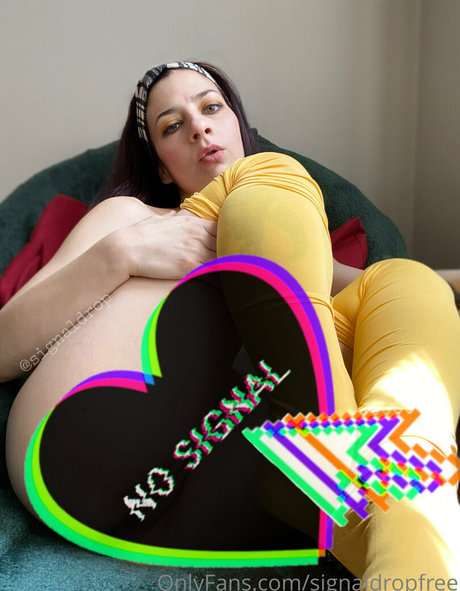 signaldropfree perfect pornstar galleries