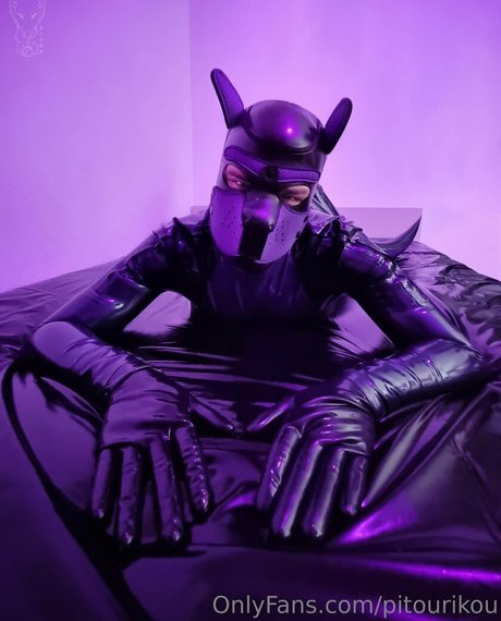 pitourikou hd model gallery