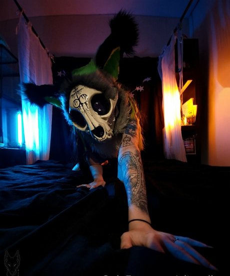 pitourikou Profile pic