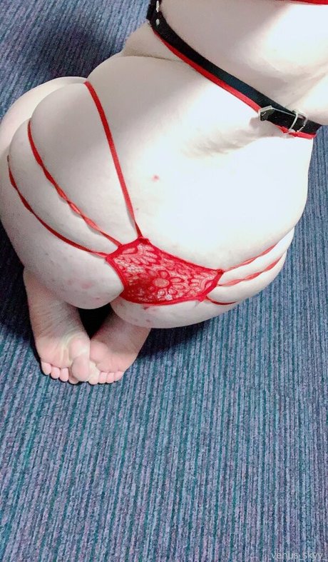 venus skyy perfect pornstar archive