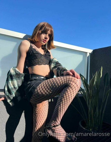 amarelarosse hd star pic