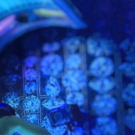 sakurafit pornstar hot image