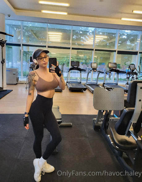 havoc haley nice star archive