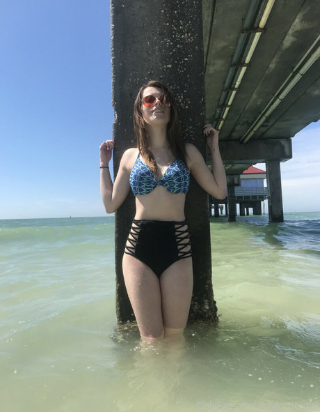 taylorherd02 xxx pornstar archive