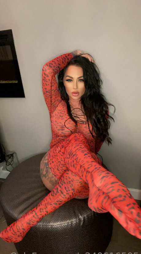 Getin loser21 nice star pictures