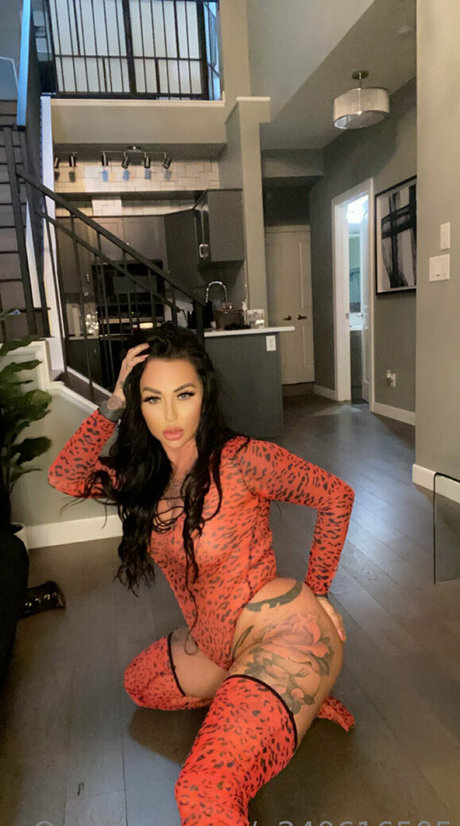 Getin loser21 star art images