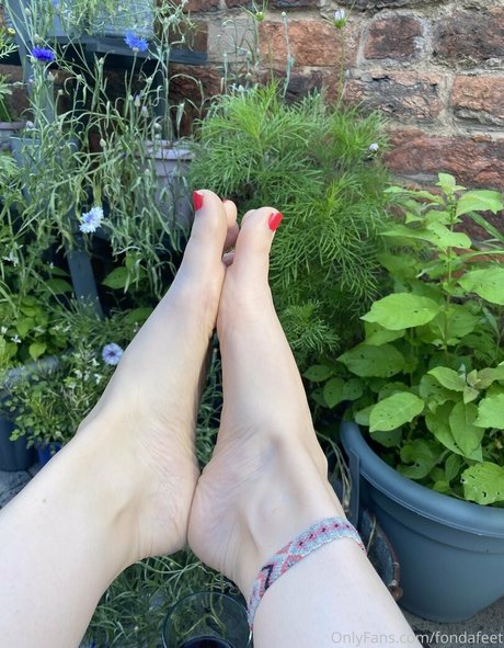 fondafeet free star gallery