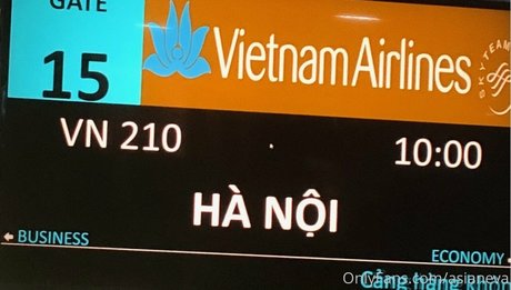 asianeva pretty star pictures