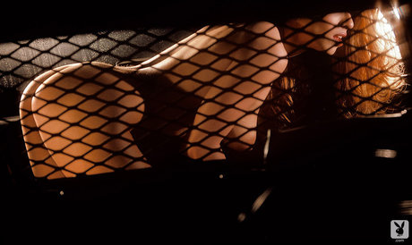 Carol Shaya adult actress picture