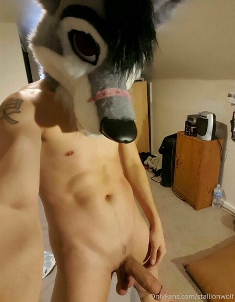 stallionwolf star nice archive