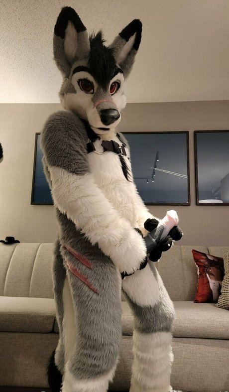 stallionwolf hot star photos