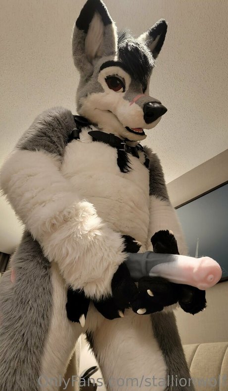 stallionwolf hot model picture