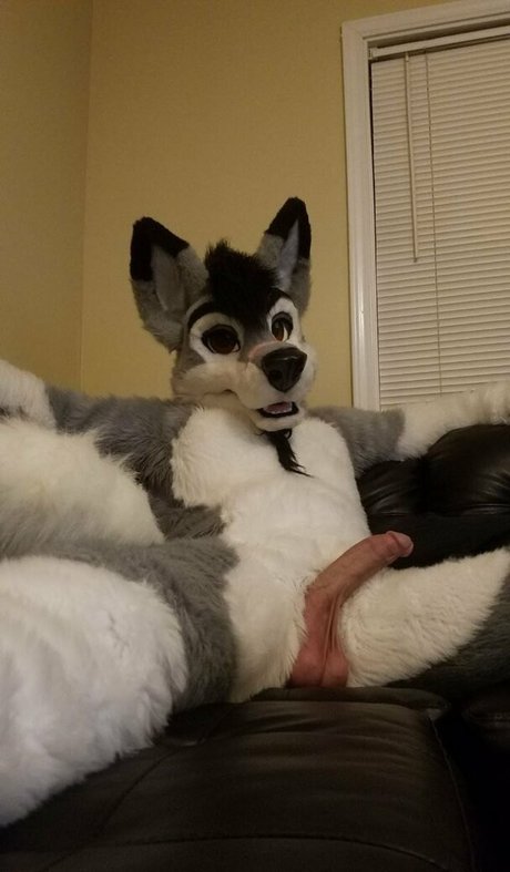 stallionwolf model xxx images