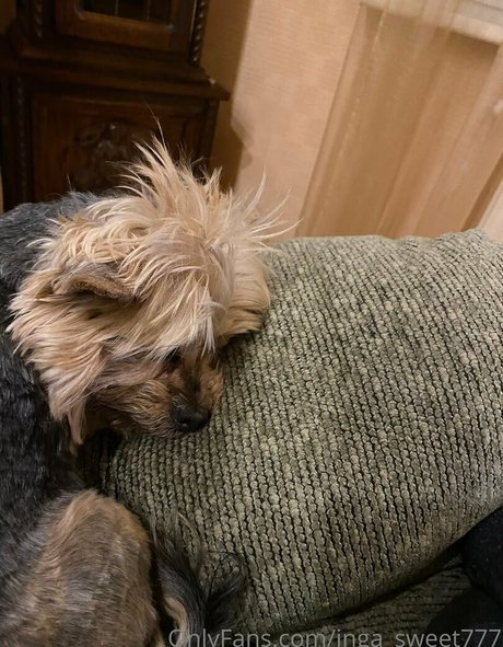 inga sweet777 perfect pornstar image