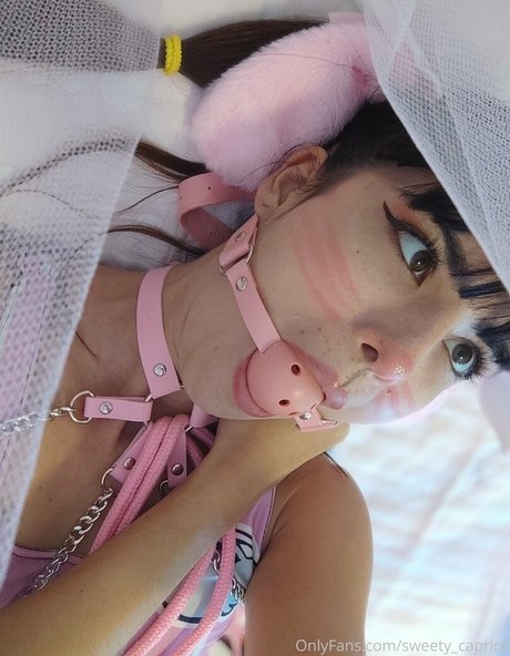 lenidoll nice model image