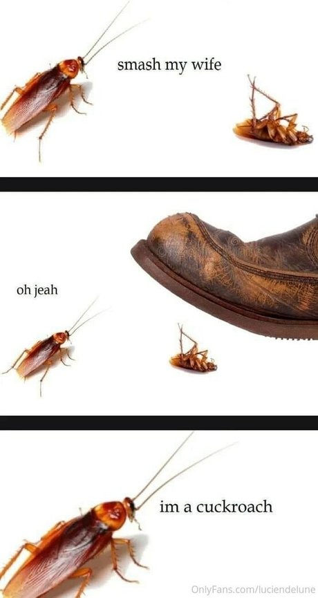 luciendelune pornstar pretty archive