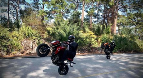 asherridesfree star sex image