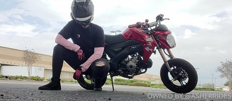 asherridesfree pornstar beautiful galleries