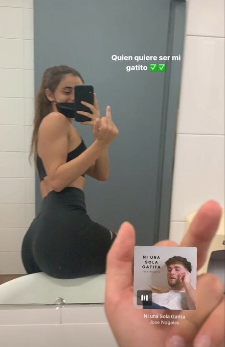 Albaa mt best model archive