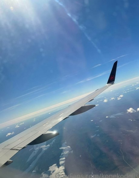 konekofixations pornstar free photo