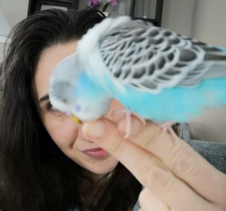 giantessmason star porn images