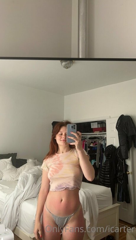 icarter nice model archive