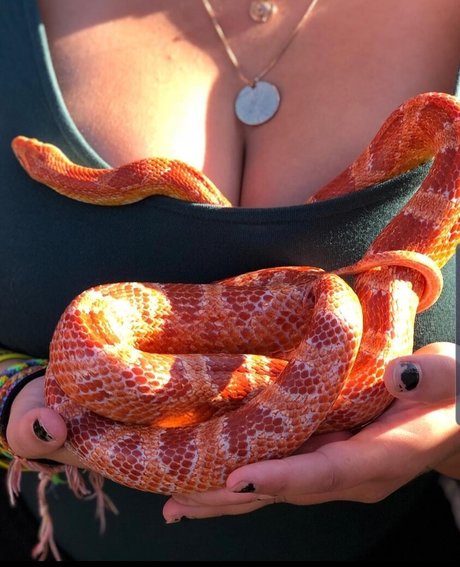 Isabellaell model art img