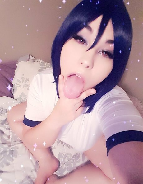 cesaillee perfect star archive