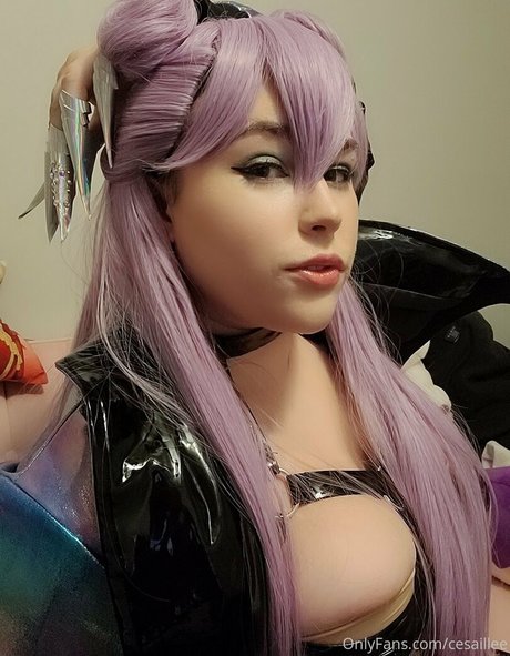 cesaillee best model archive