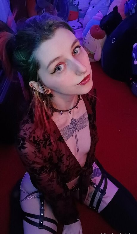 edgykittykat star high quality picture