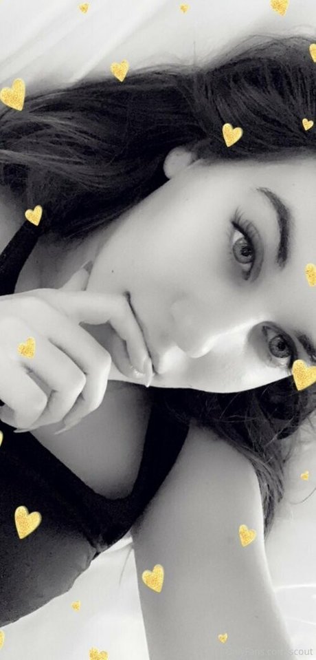 scout model high quality image