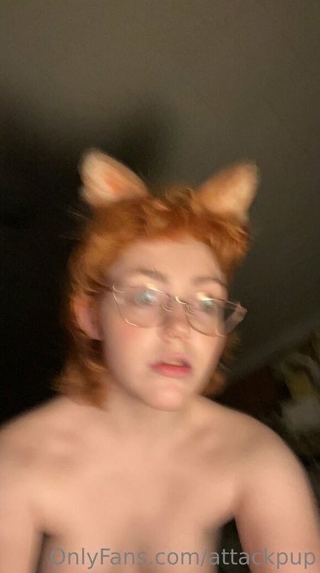 attackpup pornstar nice image