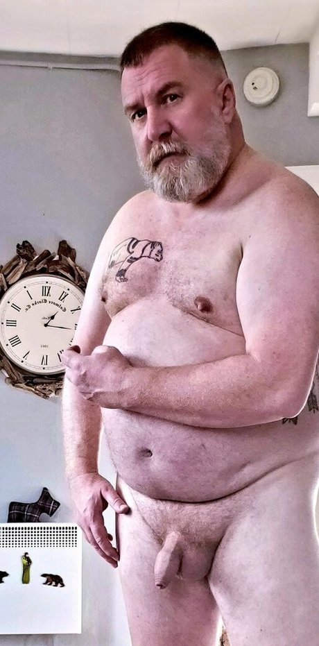 bearinheat perfect star images